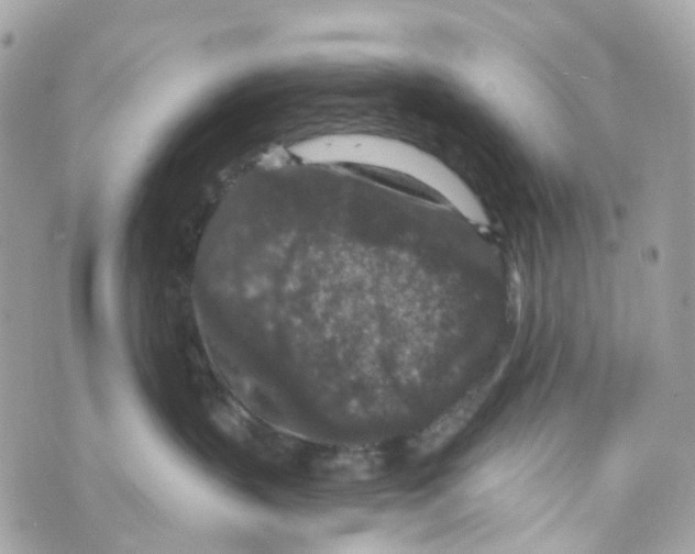 X0000069810383200606161856