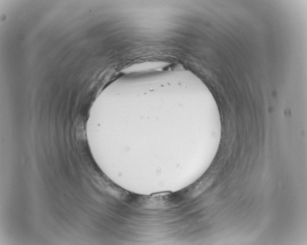 X0000069810384200606161856