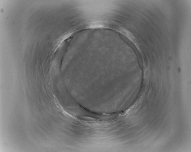 X0000069810385200606161855