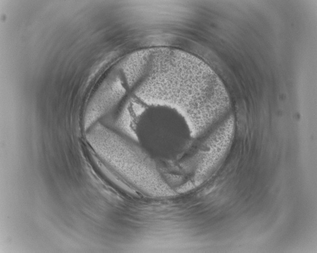 X0000069810386200606161855