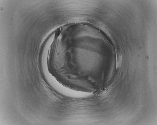 X0000069810387200606161855