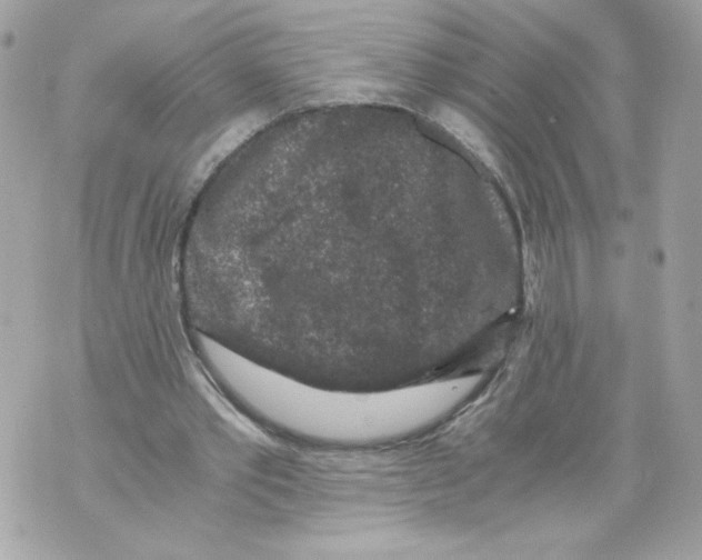 X0000069810389200606161855