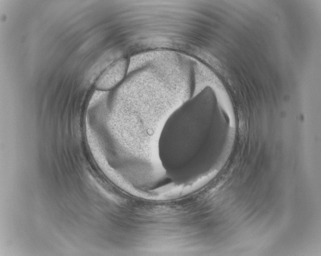 X0000069810390200606161855