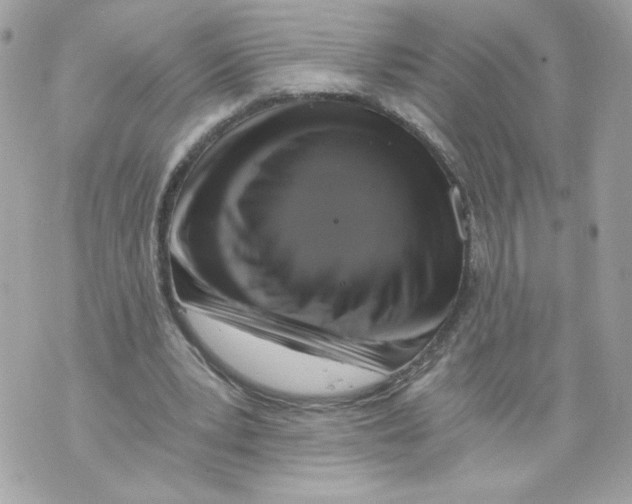 X0000069810391200606161855