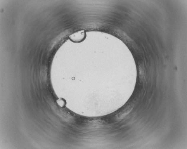 X0000069810396200606161855