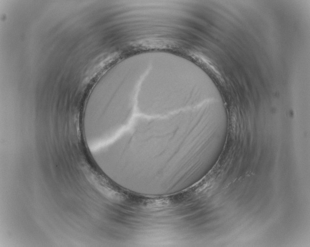 X0000069810398200606161855