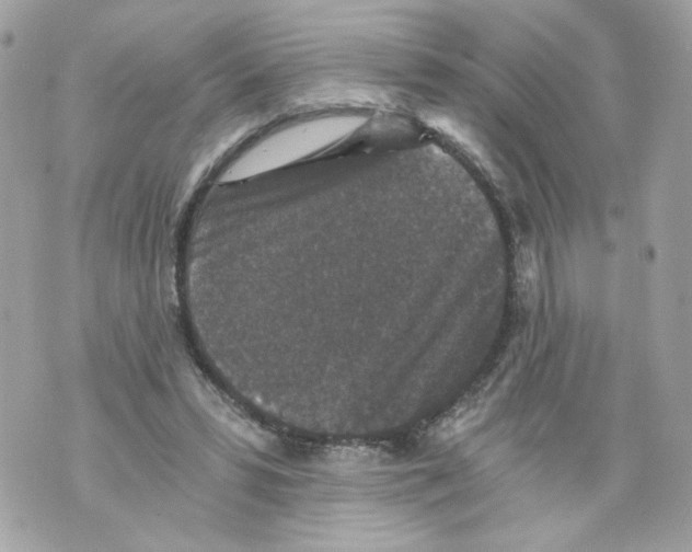 X0000069810399200606161855