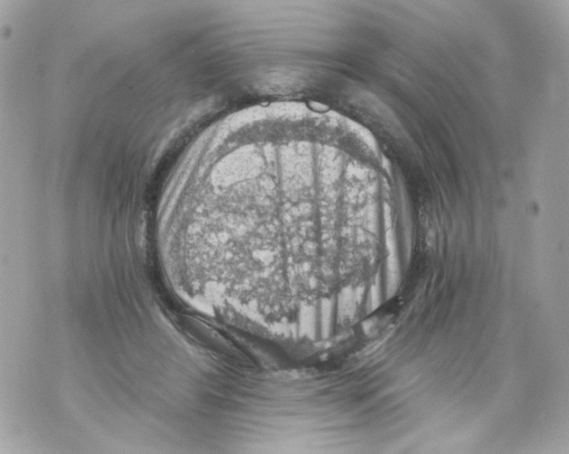 X0000069810404200606161854