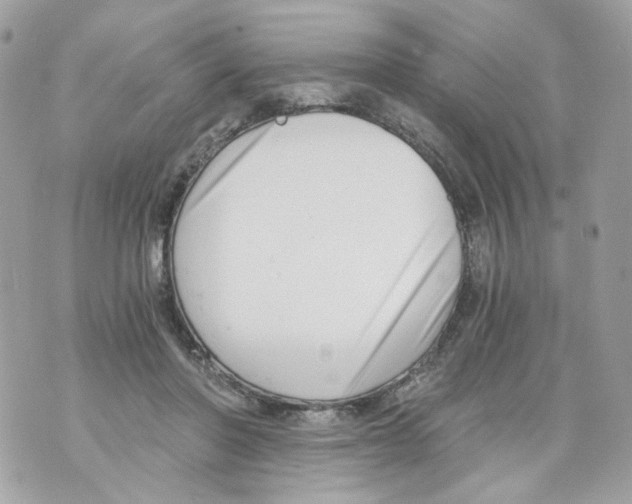 X0000069810406200606161854