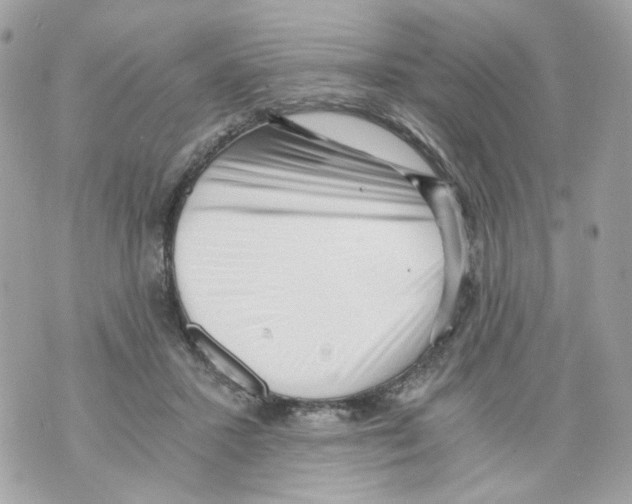 X0000069810407200606161854