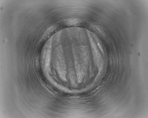 X0000069810408200606161854