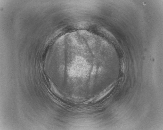 X0000069810409200606161854