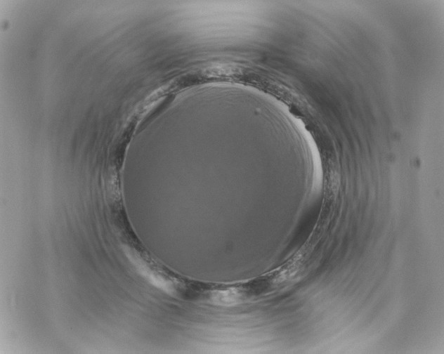 X0000069810411200606161854