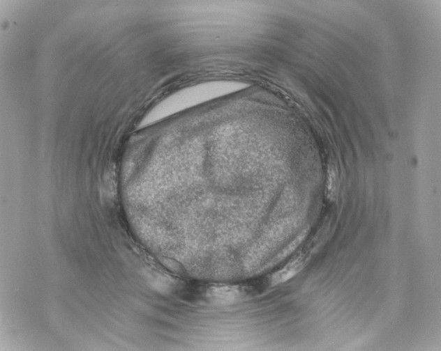 X0000069810413200606161854