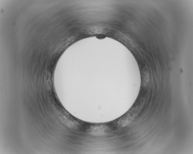 X0000069810414200606161854