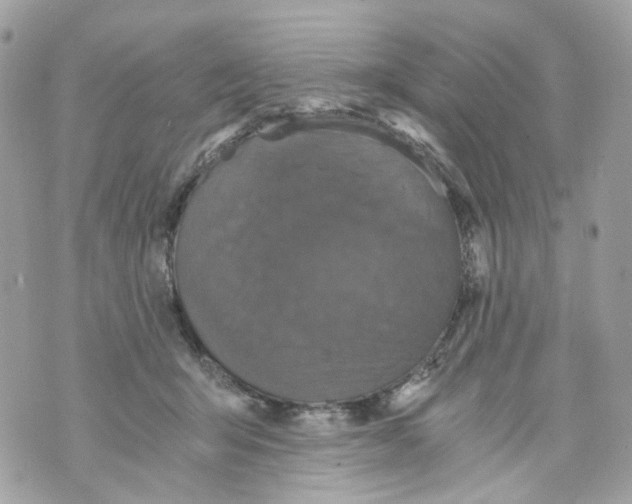 X0000069810415200606161854