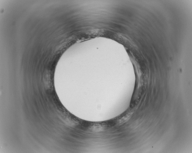 X0000069810416200606161854