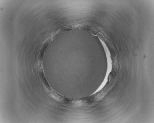 X0000069810419200606161854