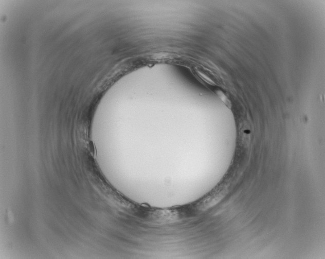 X0000069810421200606161854