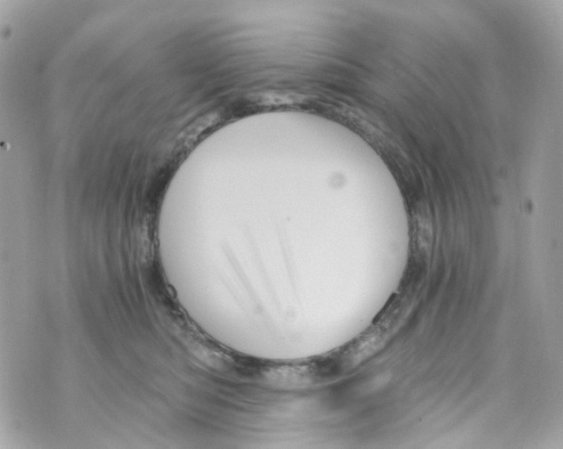 X0000069810422200606161854