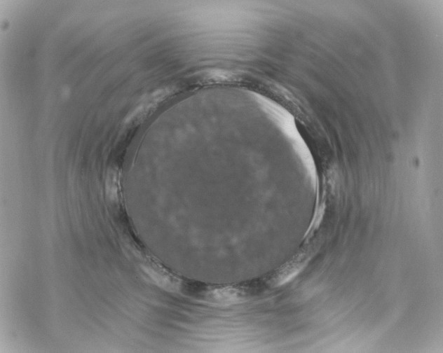 X0000069810423200606161854