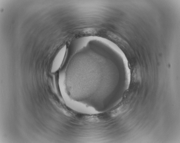 X0000069810424200606161854