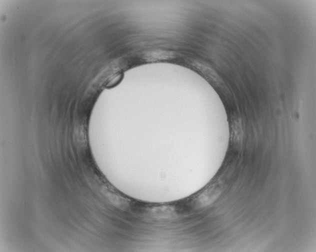 X0000069810426200606161854