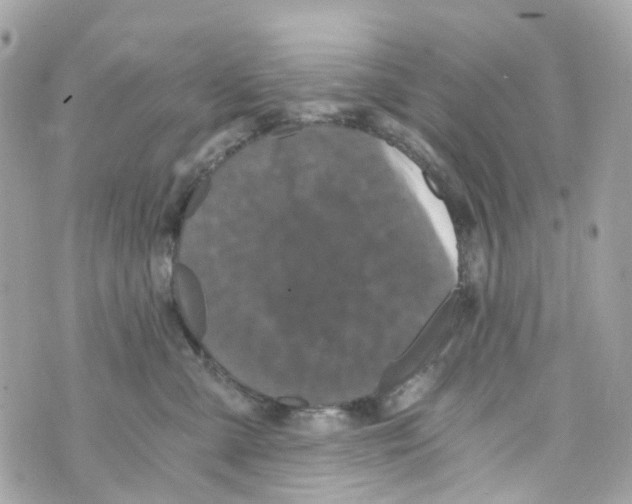 X0000069810427200606161854