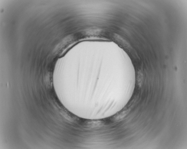 X0000069810428200606161854