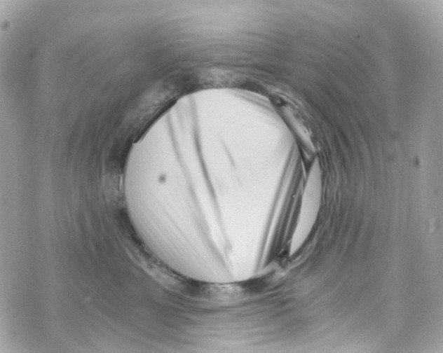 X0000069810429200606161854