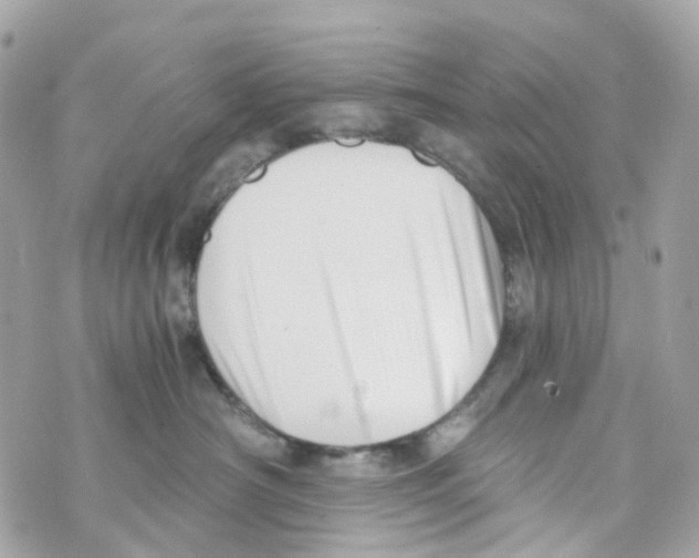 X0000069810430200606161854