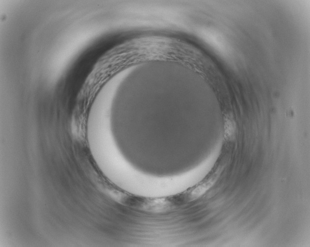 X0000069810431200606161854