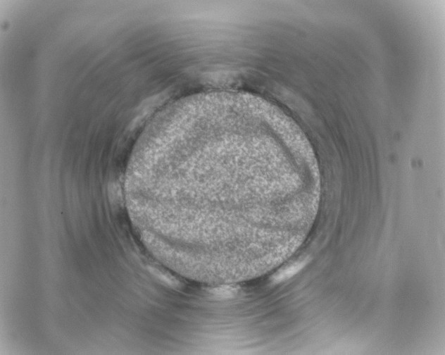 X0000069810432200606161854