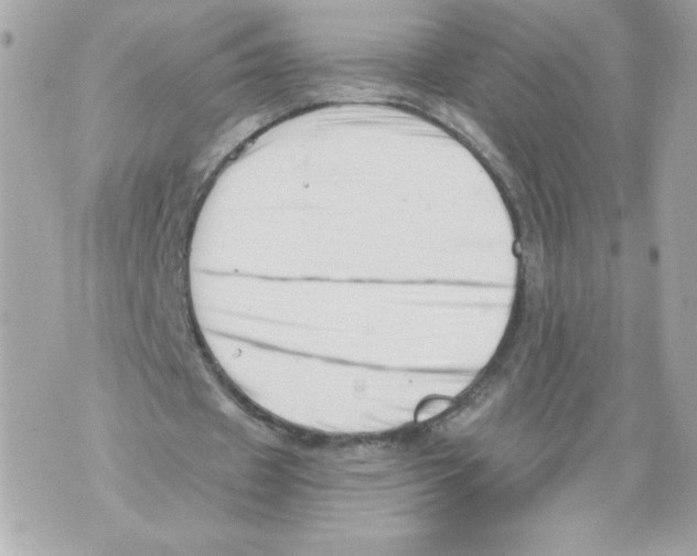 X0000069810433200606161853