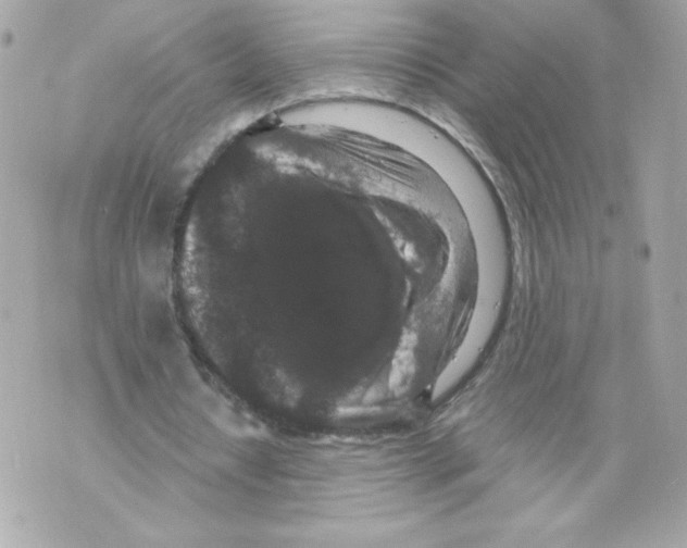 X0000069810434200606161853