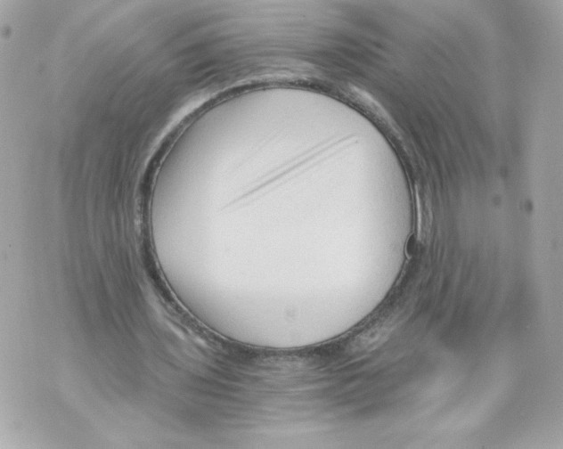 X0000069810435200606161853