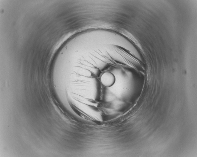 X0000069810436200606161853