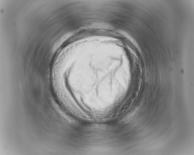 X0000069810437200606161853