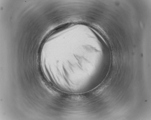 X0000069810439200606161853