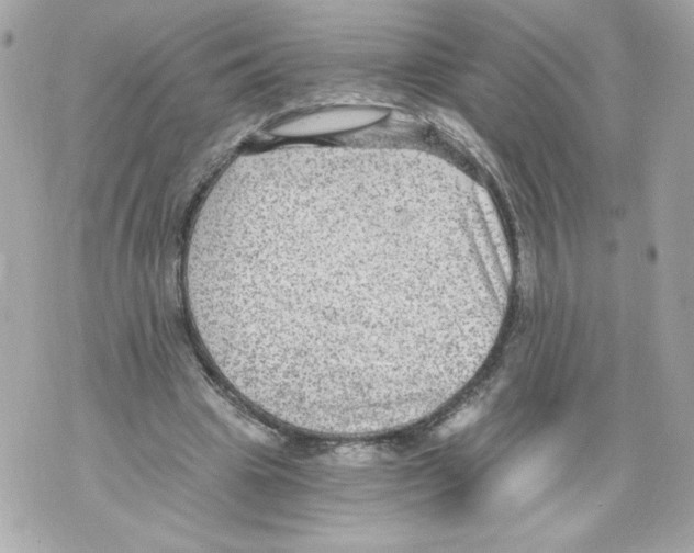 X0000069810441200606161853