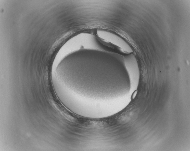 X0000069810442200606161853