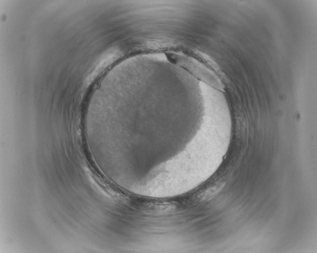 X0000069810443200606161853