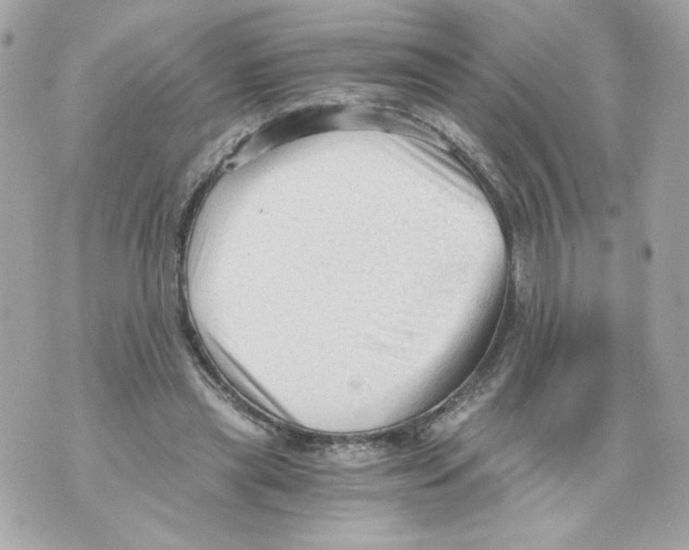 X0000069810445200606161853