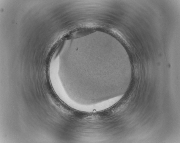 X0000069810447200606161853