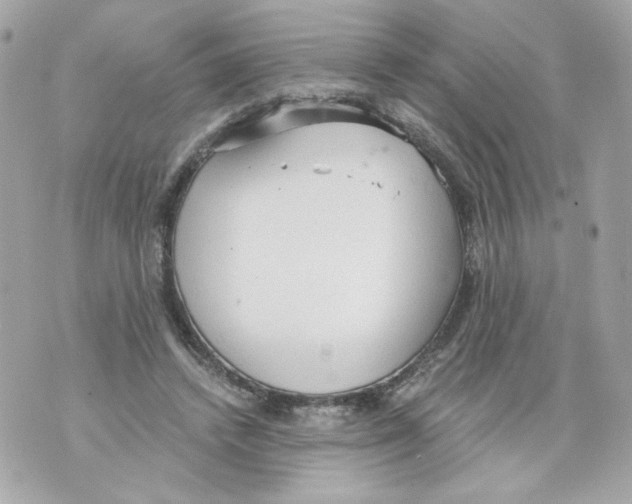 X0000069810448200606161853