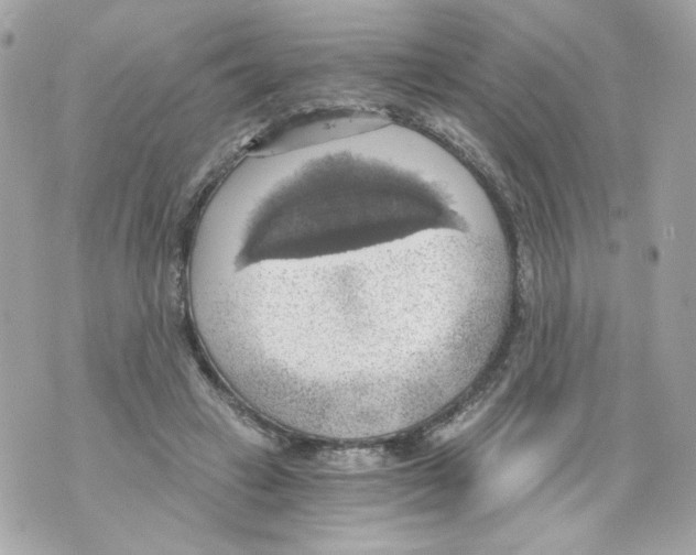 X0000069810449200606161853