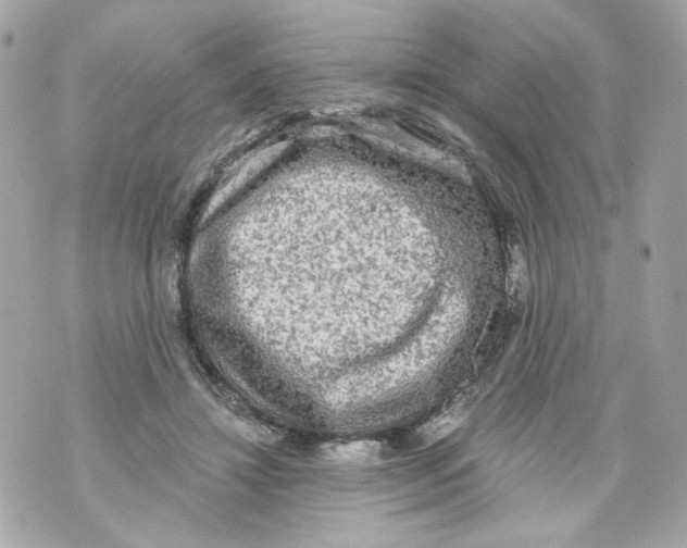 X0000069810452200606161853