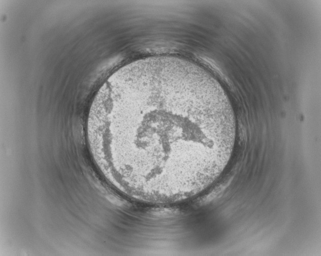 X0000069810453200606161853