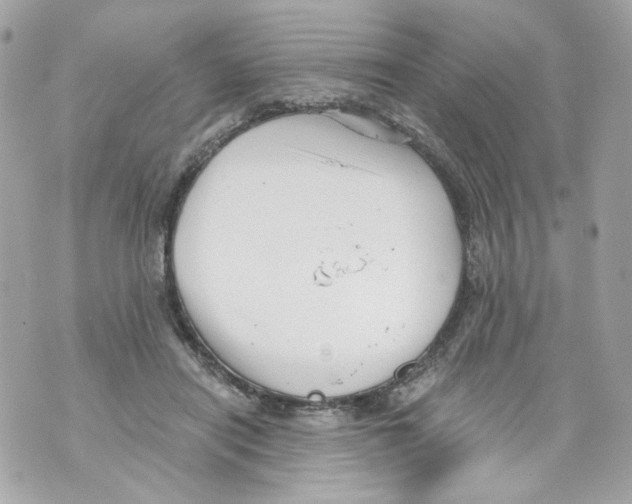 X0000069810454200606161853