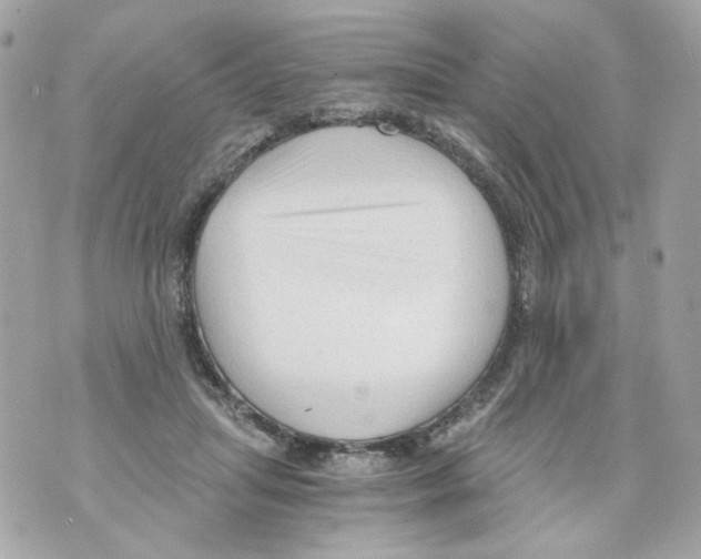 X0000069810455200606161853